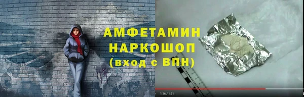 гидра Богданович