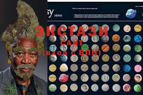 стафф Аркадак