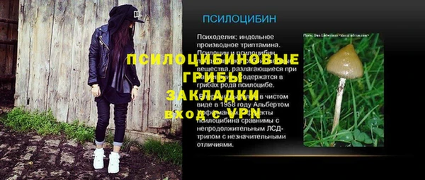 прущие крисы Алзамай