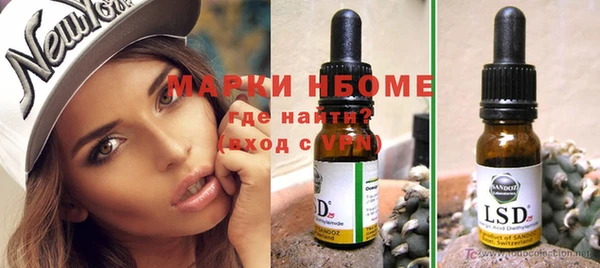 стафф Аркадак