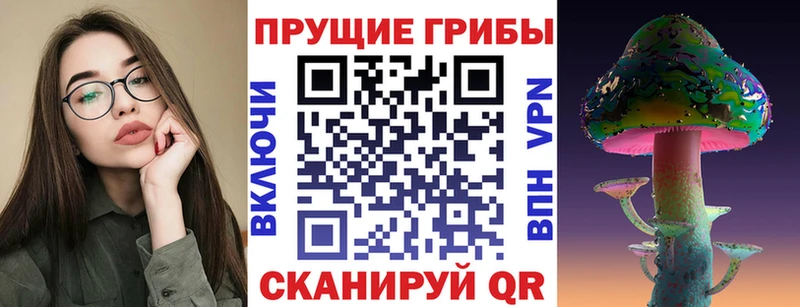 гидра рабочий сайт Всеволожск Псилоцибиновые грибы Psilocybe